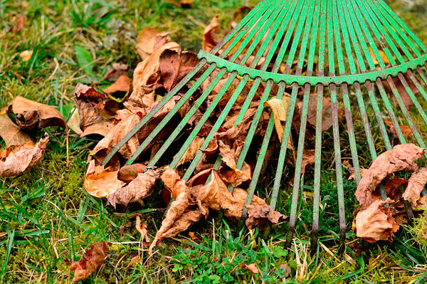 LIMPIEZA DE JARDINES EN TARRAGONA