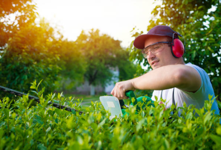 limpieza de jardines en tarragona